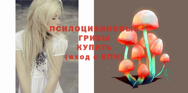jwh Медвежьегорск