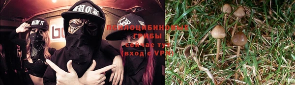 прущая мука Медногорск